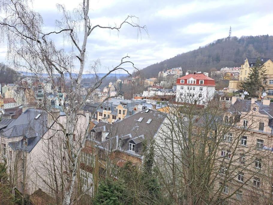 Vila Historica Karlovy Vary Exterior photo